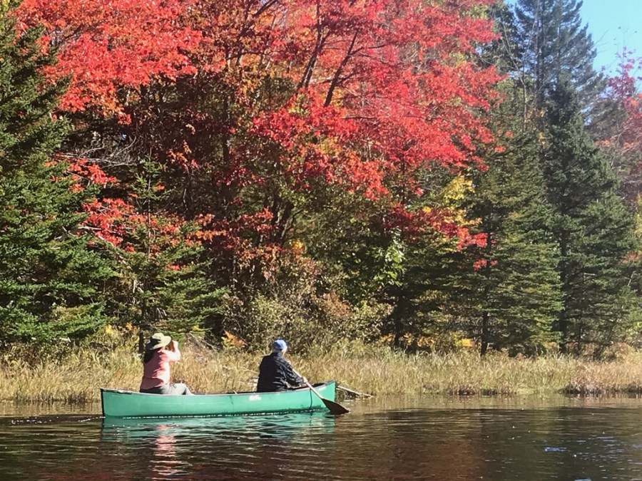 Hard cider and sweet&nbsp;fallow